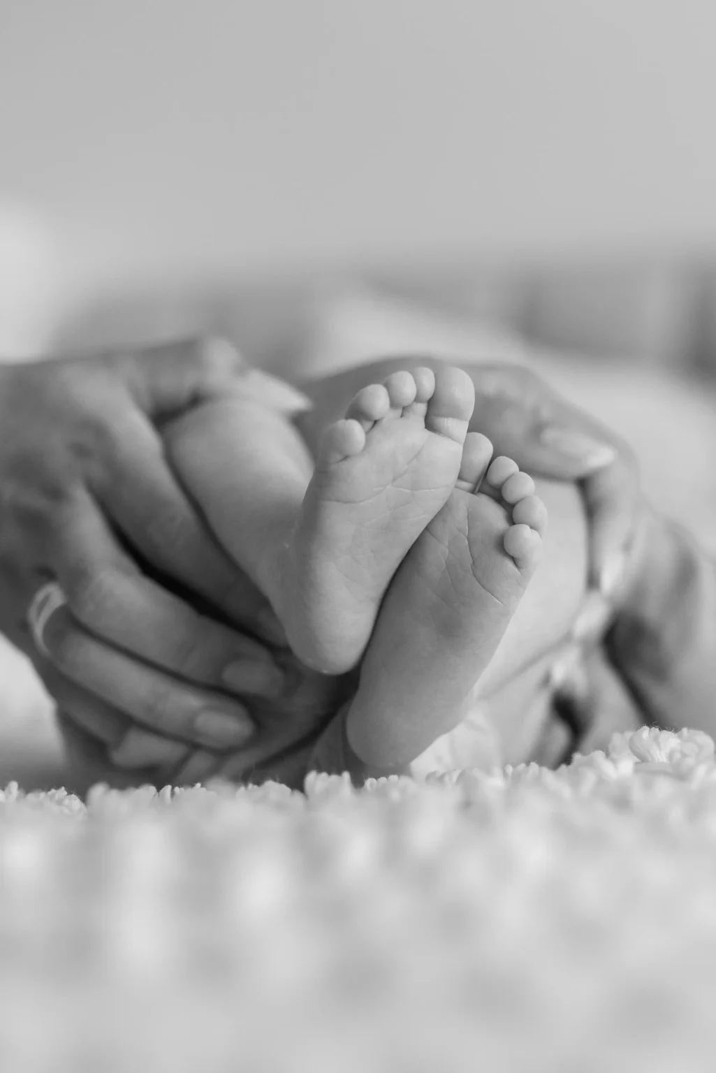 Close-up of adult hands gently holding a newborn baby’s feet, with a soft, blurred background. The image is in black and white.