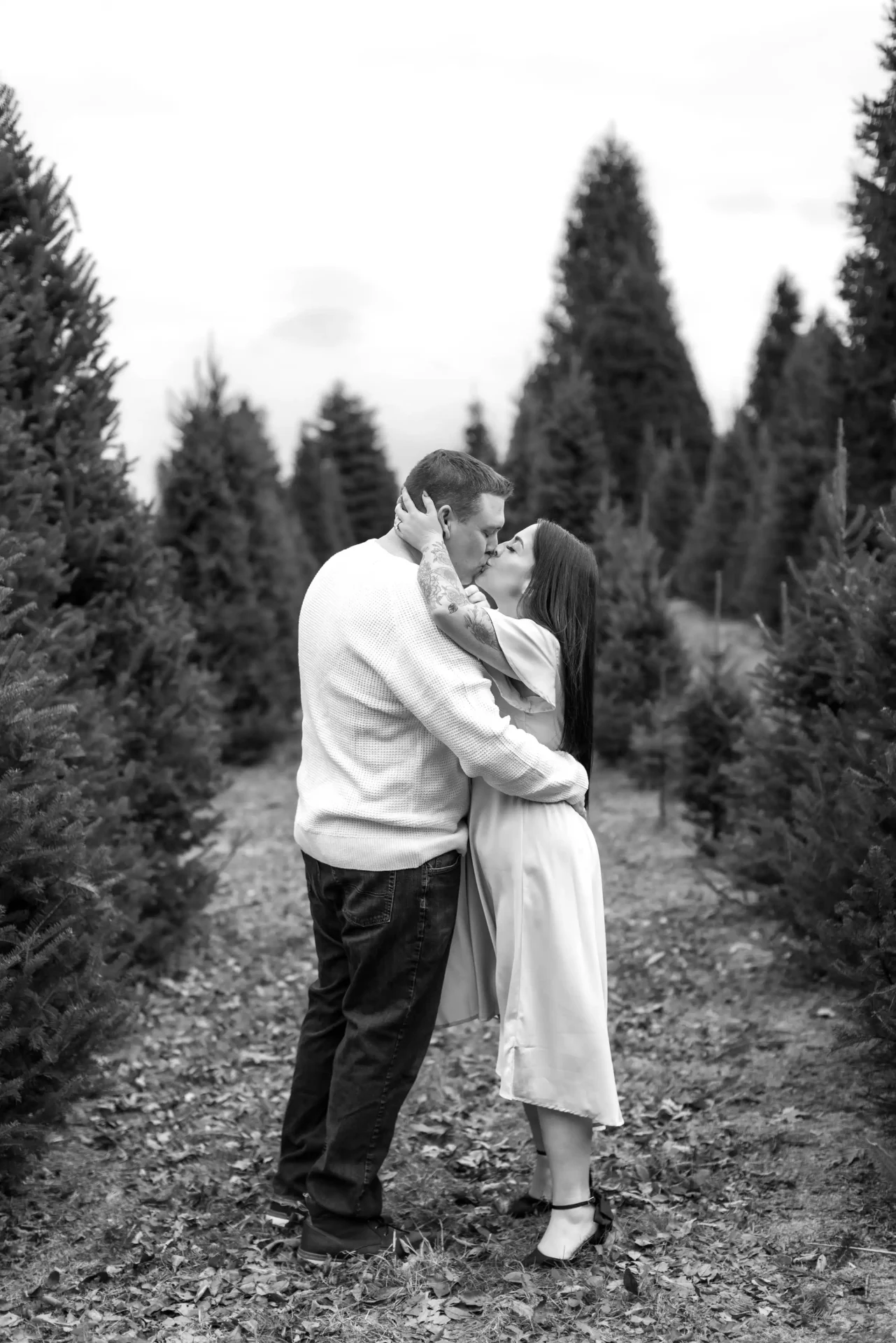 A couple stands among rows of evergreen trees, embracing and kissing. The image is in black and white.
